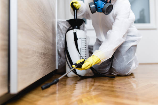 Professional Pest Control in Royal Pines, NC